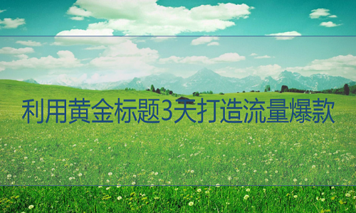 <b>淘寶托管-利用黃金標題3天打造流量爆款</b>