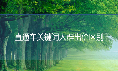 <b>網(wǎng)店代運(yùn)營(yíng)：直通車(chē)關(guān)鍵詞人群出價(jià)的區(qū)別</b>