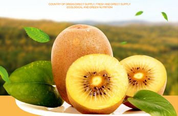 鉆展創(chuàng)意圖