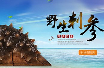 PC店鋪詳情頁(yè)裝修設(shè)計(jì)