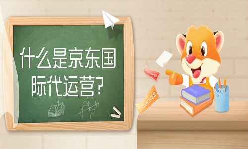 <b>什么是京東國際代運營？</b>