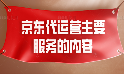 <b>京東代運營主要服務的內容</b>