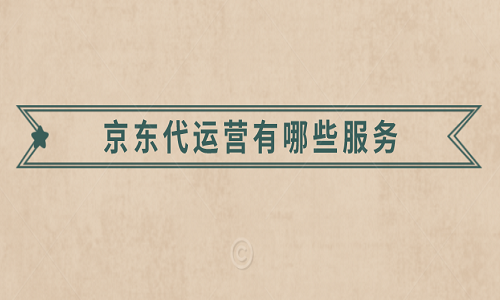 <b>京東代運營有哪些服務</b>