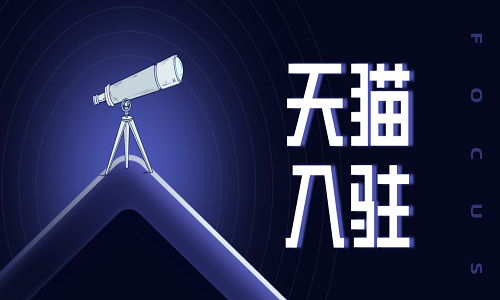 <b>天貓入駐代辦公司</b>