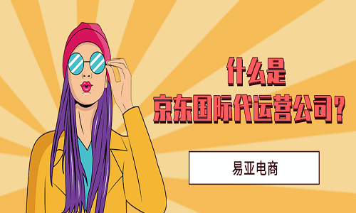 <b>什么是京東國際代運營公司？</b>