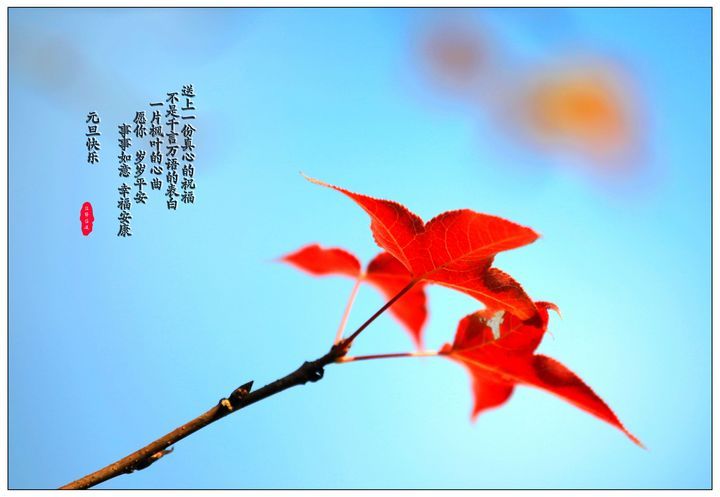 淘寶代運營15963297469