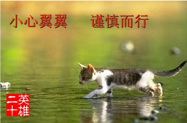 淘寶代運(yùn)營(yíng)15963297469