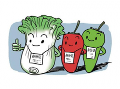 <b>說一說那些成功店鋪運(yùn)營的秘訣—測(cè)款</b>