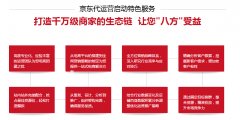 <b>什么才是京東代運營的基本邏輯呢？</b>