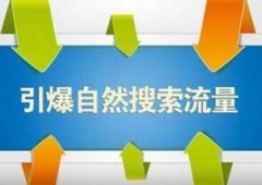<b>天貓代運營|把握好流量入口，店鋪還怕做不起來</b>