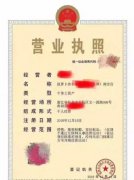 <b>全國首張?zhí)詫氹娮訝I業(yè)執(zhí)照誕生，你辦證了嗎？</b>