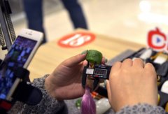 <b>網(wǎng)店代運(yùn)營-你對淘寶直播的認(rèn)知，可能是錯(cuò)的</b>