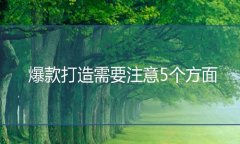 <b>淘寶代運(yùn)營：爆款打造需要注意5個方面</b>