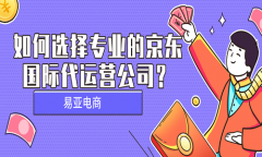 <b>如何選擇專業(yè)的京東國際代運營公司？</b>