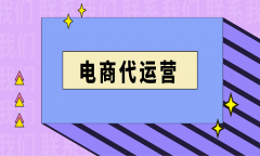 京東代運營公司介紹